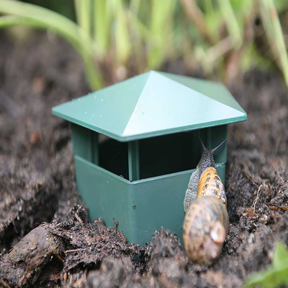 Eco-Friendly Farm Protector Insect Trap Box | Stornfield