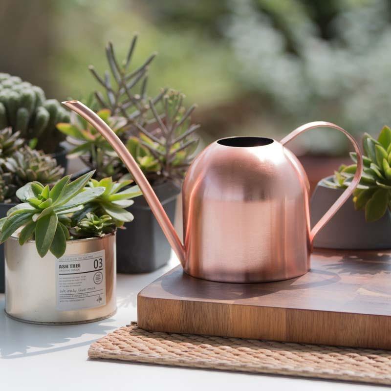 Stornfield | AquaGrace Stainless Steel Watering Can with Flexible Spout | Modern Design | Perfect Watering | Rust-Resistant