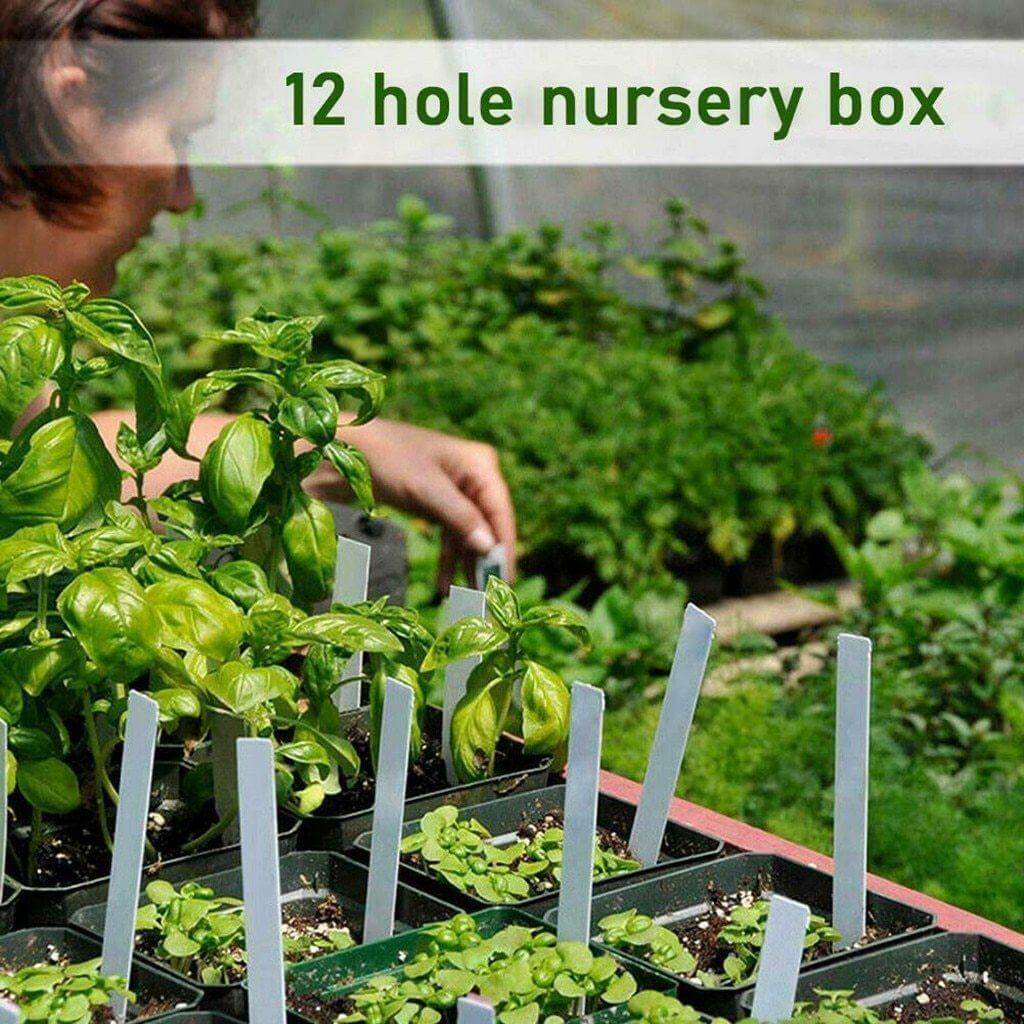 Adjustable 12 Seedling Planting Box | Stornfield