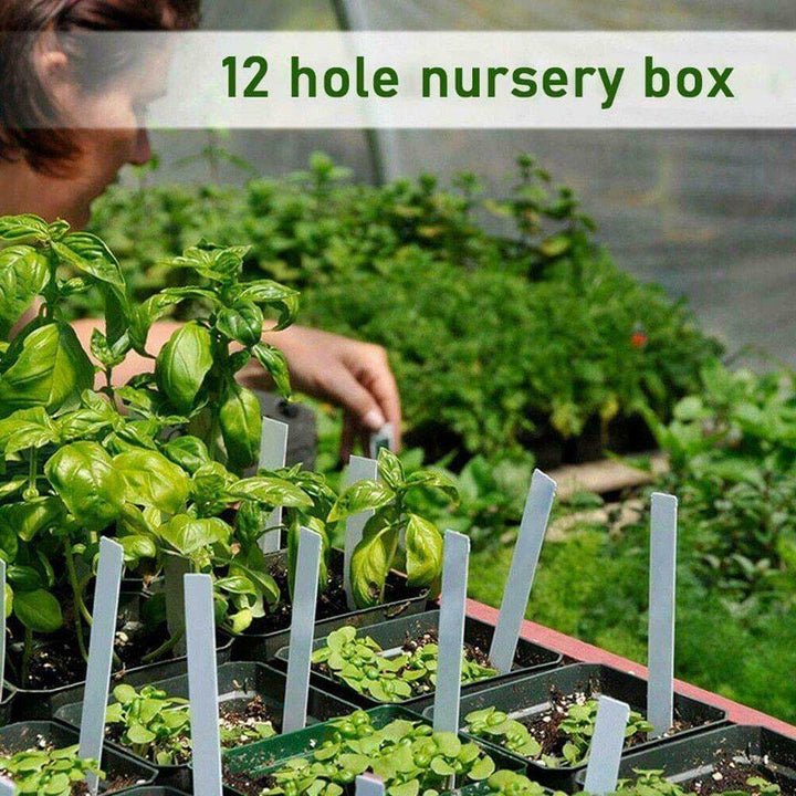 Adjustable 12 Seedling Planting Box | Stornfield