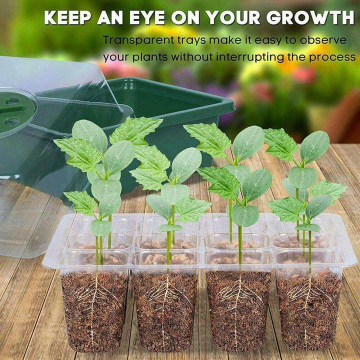 Adjustable 12 Seedling Planting Box | Stornfield