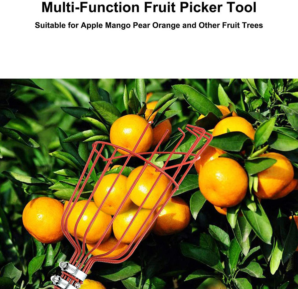 High Branch Fruit Picker | Stornfield