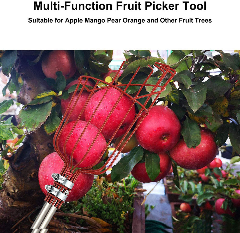 High Branch Fruit Picker | Stornfield