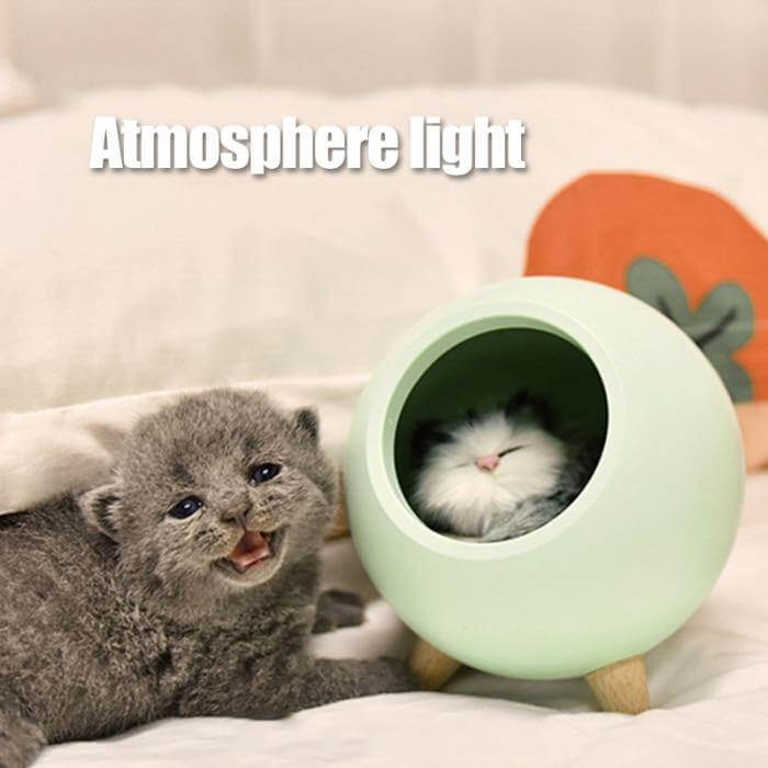 Cute Pet House USB LED Night Lamp | Stornfield