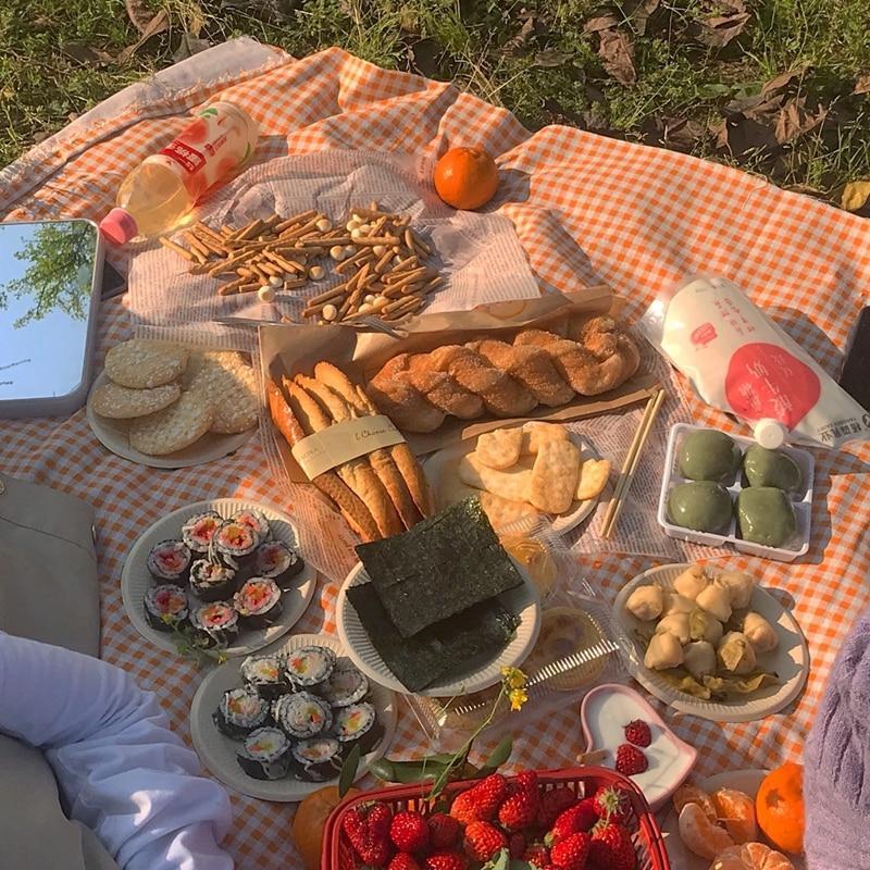 Stornfield | Clementine Plaid Picnic Blanket