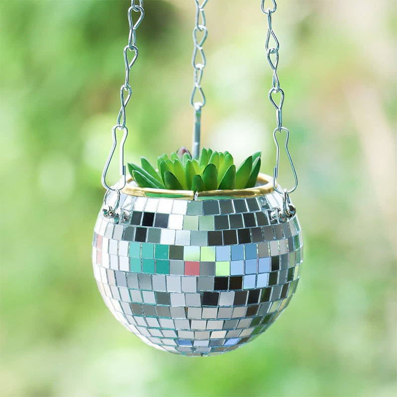Stornfield | Disco Ball Plant