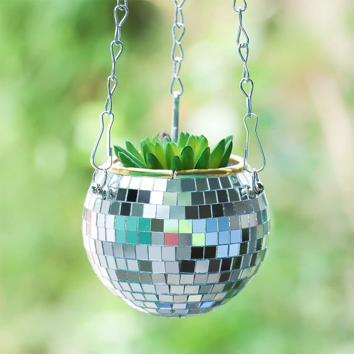Stornfield | Disco Ball Plant