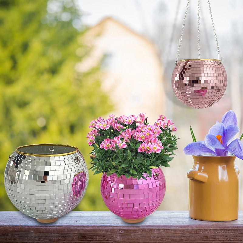 Stornfield | Disco Ball Plant