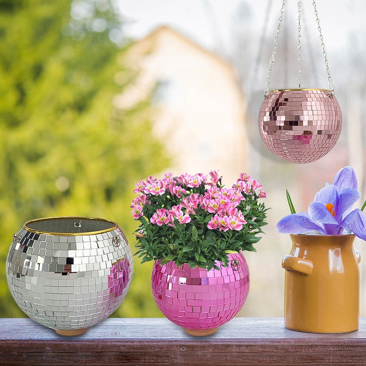 Stornfield | Disco Ball Plant