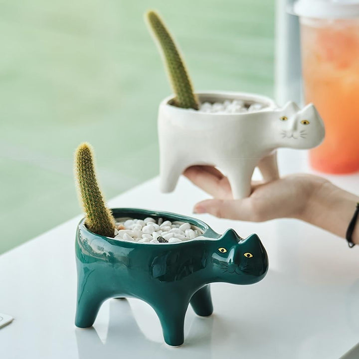 Kat Pot | Stornfield