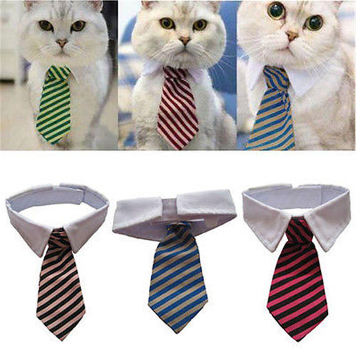 Famous Bow Ties for Pets by Sugar & Cotton | Stornfield