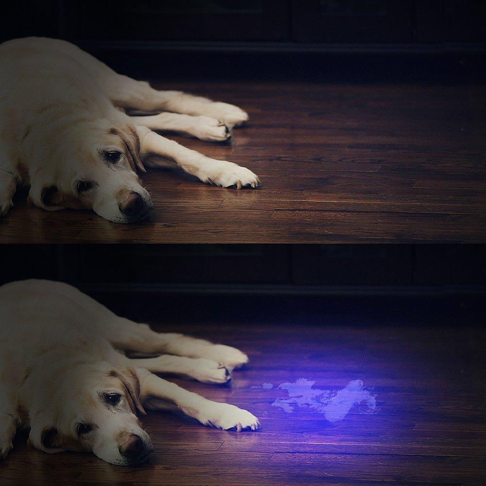 HiLight - LED UV Detection Flash Light | Stornfield