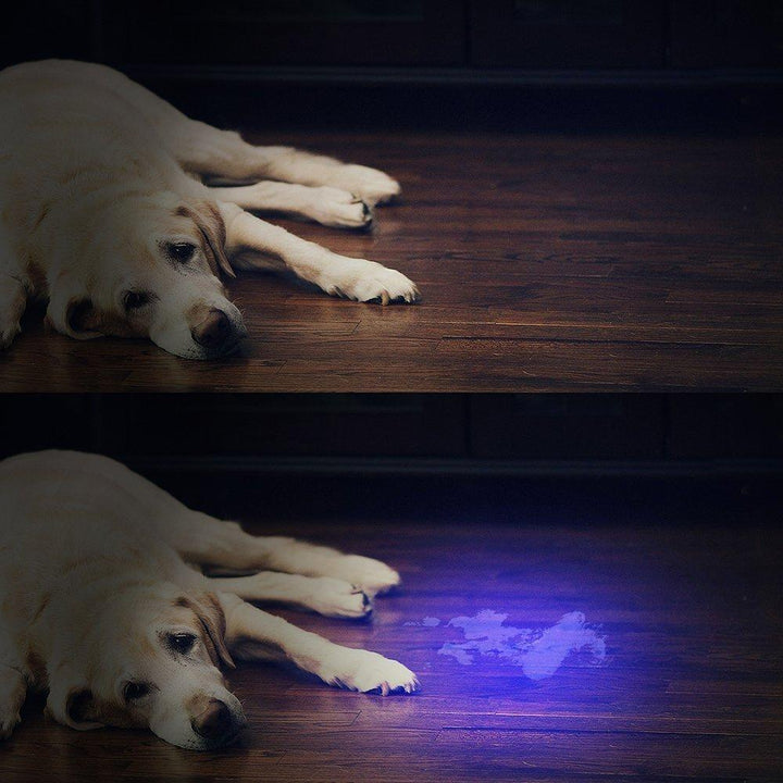 HiLight - LED UV Detection Flash Light | Stornfield