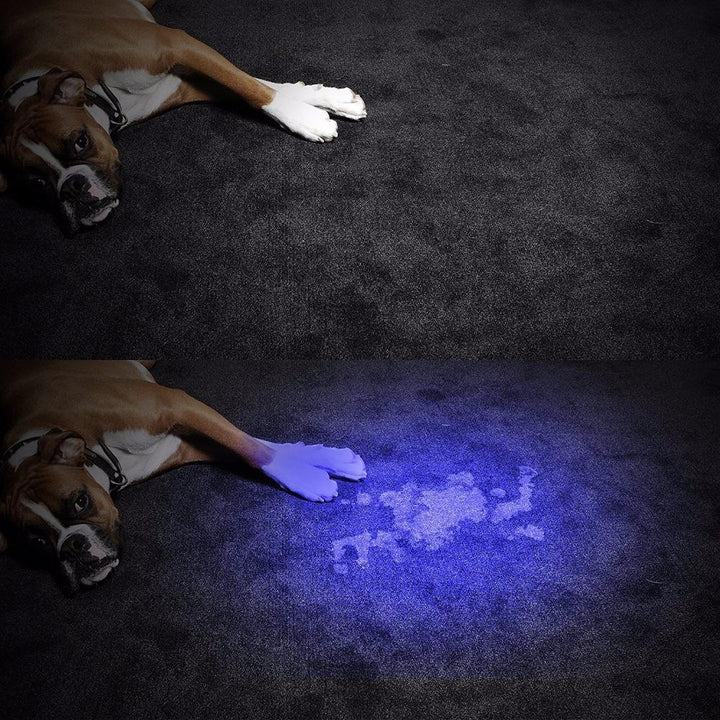 HiLight - LED UV Detection Flash Light | Stornfield