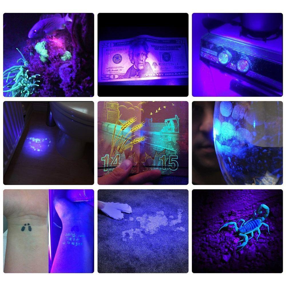 HiLight - LED UV Detection Flash Light | Stornfield