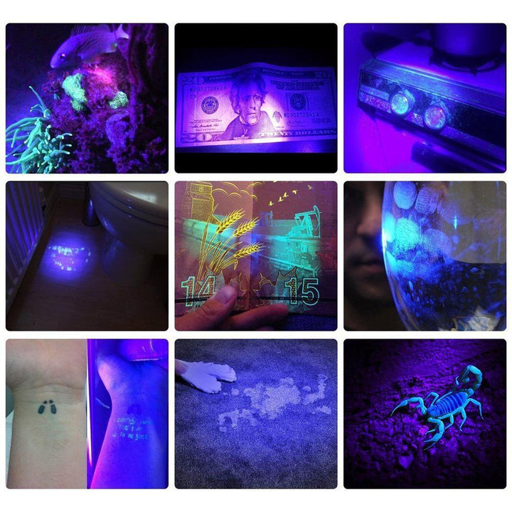 HiLight - LED UV Detection Flash Light | Stornfield