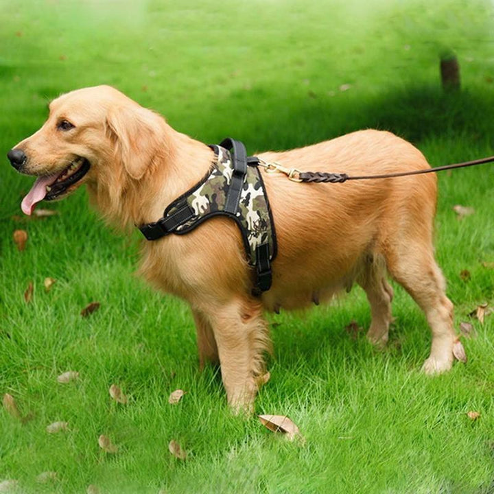 Adjustable Pet Dog Harness | Stornfield