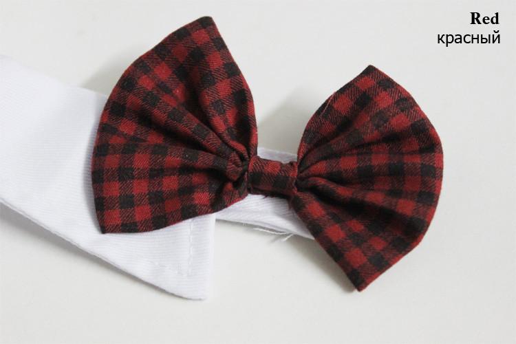Dapper Bow Tie Pet - For Cats & Dogs | Stornfield