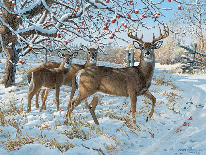 Snow on Reindeer - GemPaint Kit | Stornfield