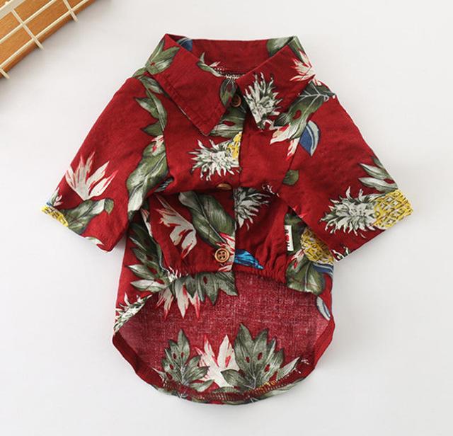 Frenchie  Summer Shirt | Stornfield