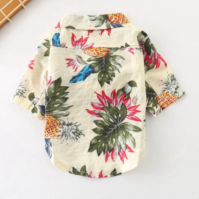 Frenchie  Summer Shirt | Stornfield