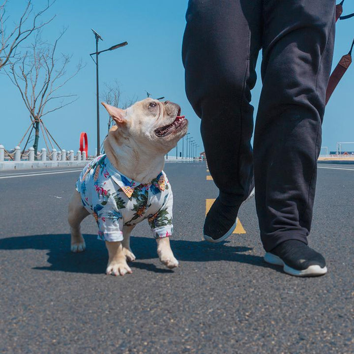 Frenchie  Summer Shirt | Stornfield