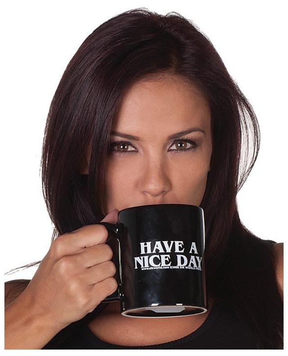 Have a Nice Day Mug | Stornfield