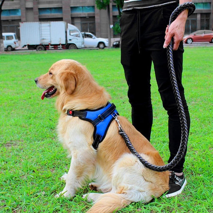 Adjustable Pet Dog Harness | Stornfield