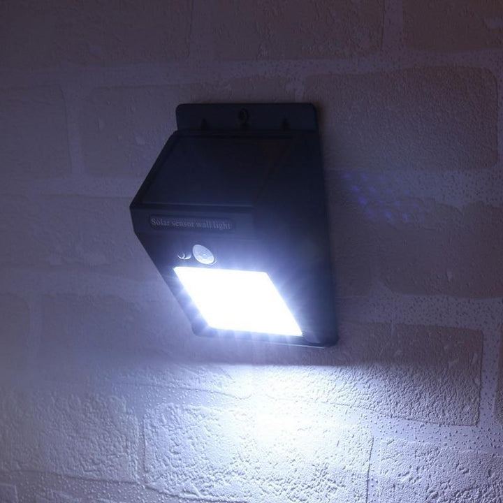 Ground - Solar Motion Sensor Outdoor Light | Stornfield
