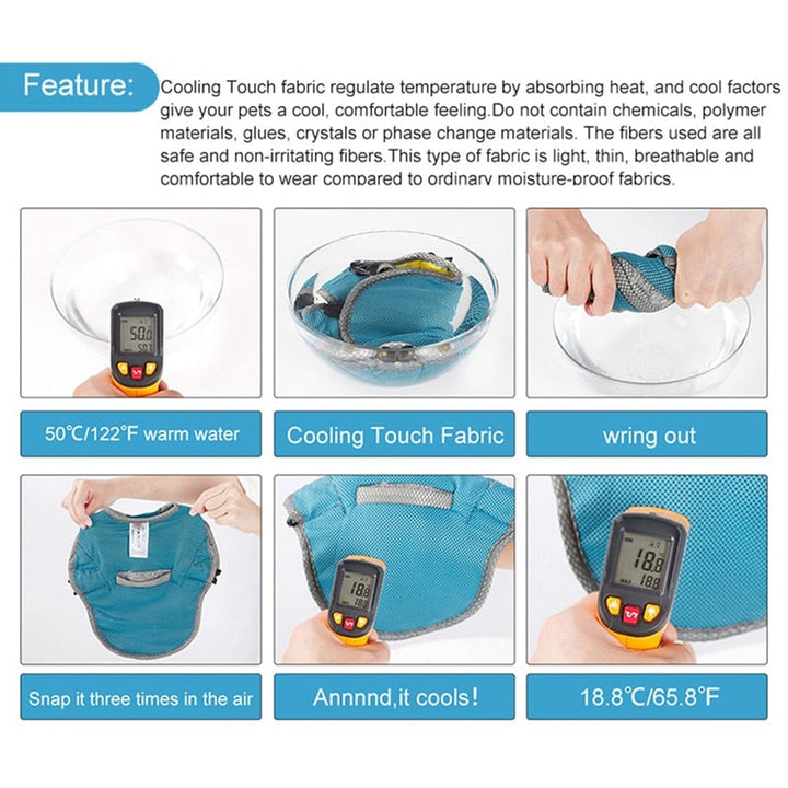 Coolify™ : Cooling Vest for Frenchie (CS13) | Stornfield