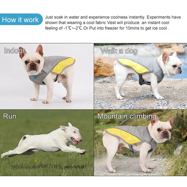 Coolify™ : Cooling Vest for Frenchie (CS13) | Stornfield