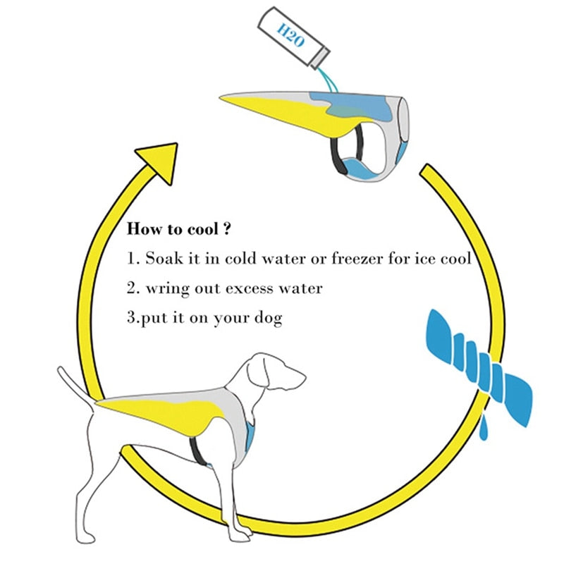 Coolify™ : Cooling Vest for Frenchie (CS13) | Stornfield