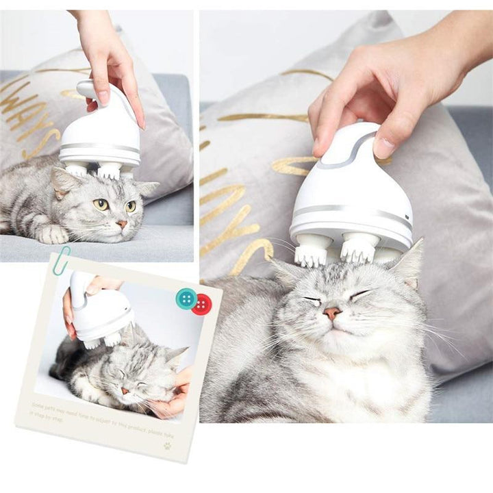 Electric Cat Massager | Stornfield