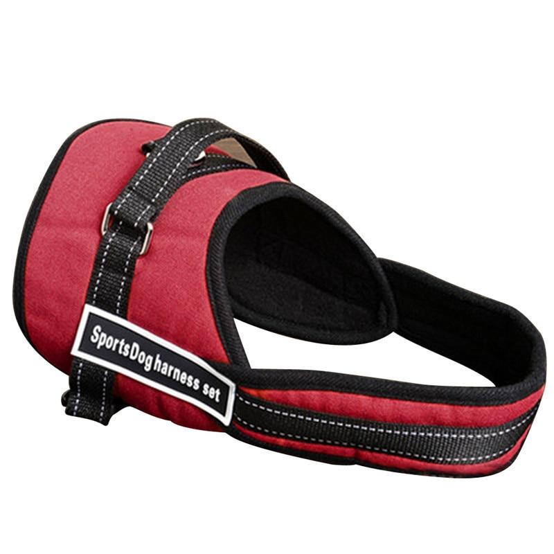 Dog walking harness | Stornfield