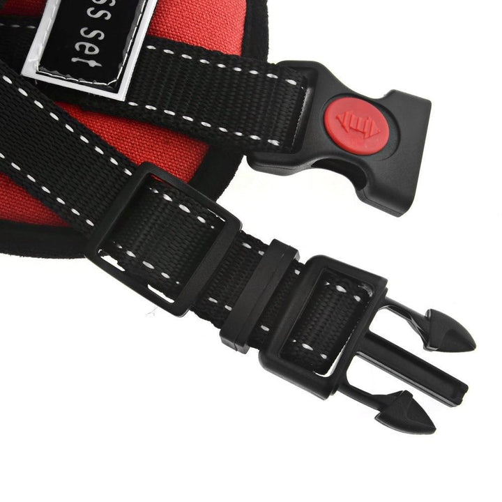Dog Walking Harness | Stornfield