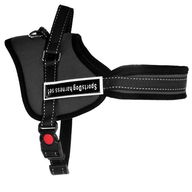 Dog walking harness | Stornfield