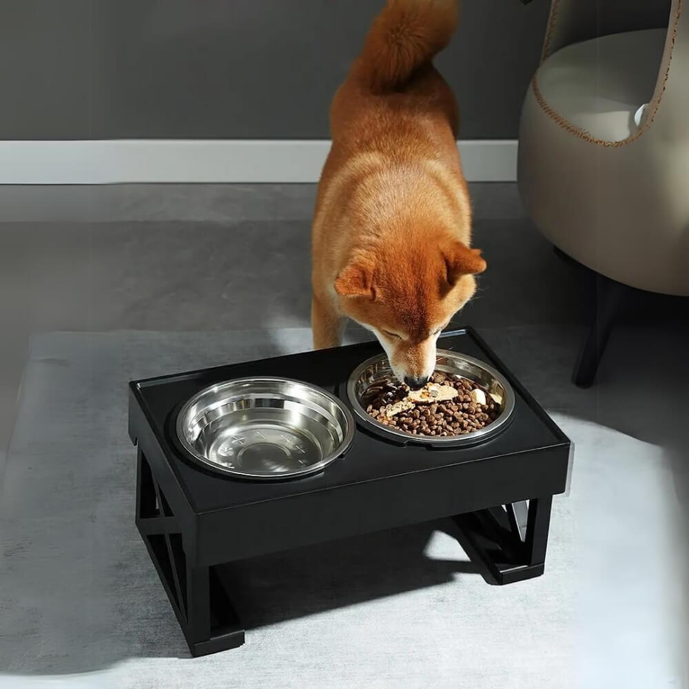 PupLift Elevated Dog Bowl – Ergonomic & Slow Feeding for Healthy Meals | Stornfield