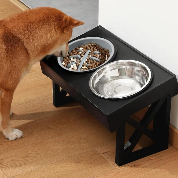 PupLift Raised Dog Bowl – Ergonomic & Slow Feeding for Healthy Meals | Stornfield
