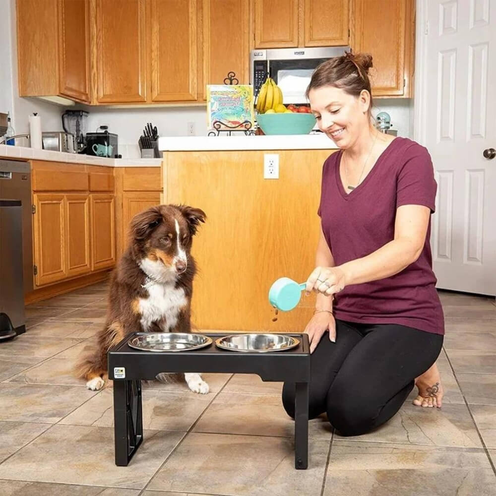 PupLift Raised Dog Bowl – Ergonomic & Slow Feeding for Healthy Meals | Stornfield