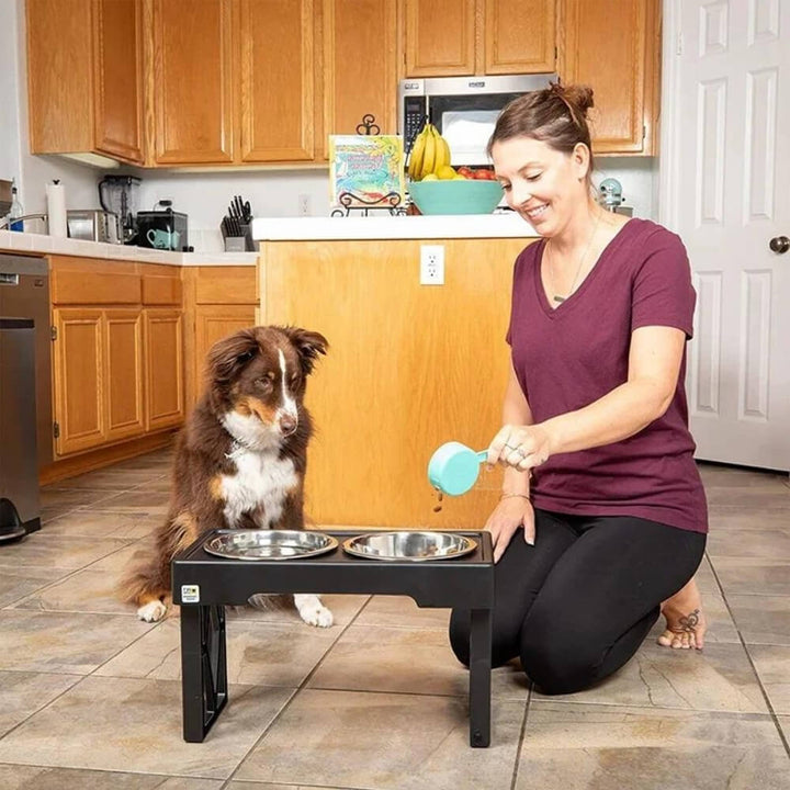 PupLift Elevated Dog Bowl – Ergonomic & Slow Feeding for Healthy Meals | Stornfield