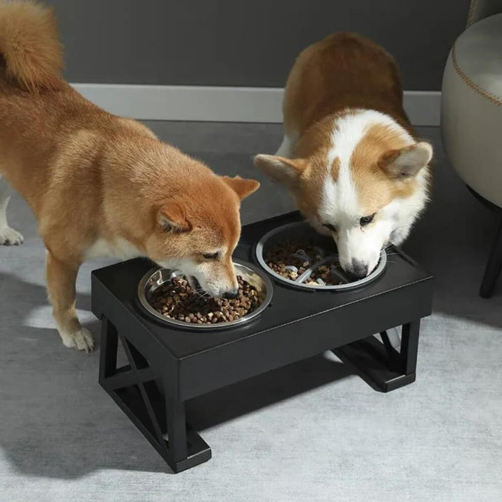PupLift Raised Dog Bowl – Ergonomic & Slow Feeding for Healthy Meals | Stornfield