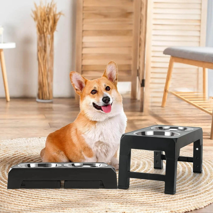PupLift Raised Dog Bowl – Ergonomic & Slow Feeding for Healthy Meals | Stornfield