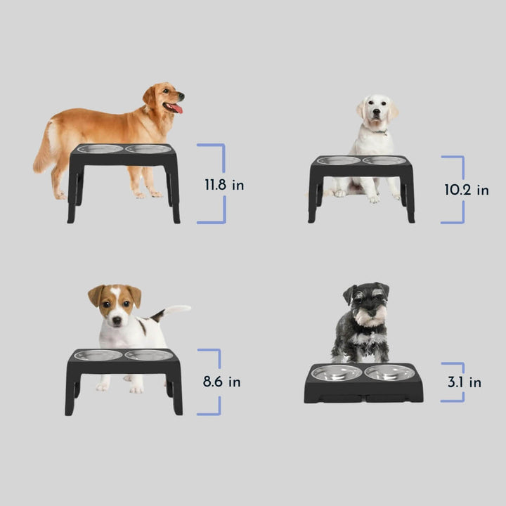 PupLift Raised Dog Bowl – Ergonomic & Slow Feeding for Healthy Meals | Stornfield