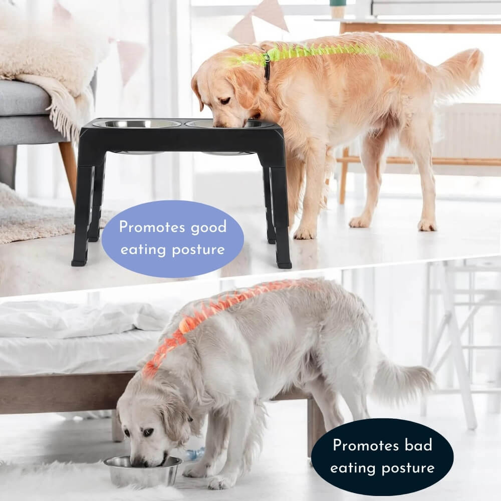PupLift Raised Dog Bowl – Ergonomic & Slow Feeding for Healthy Meals | Stornfield