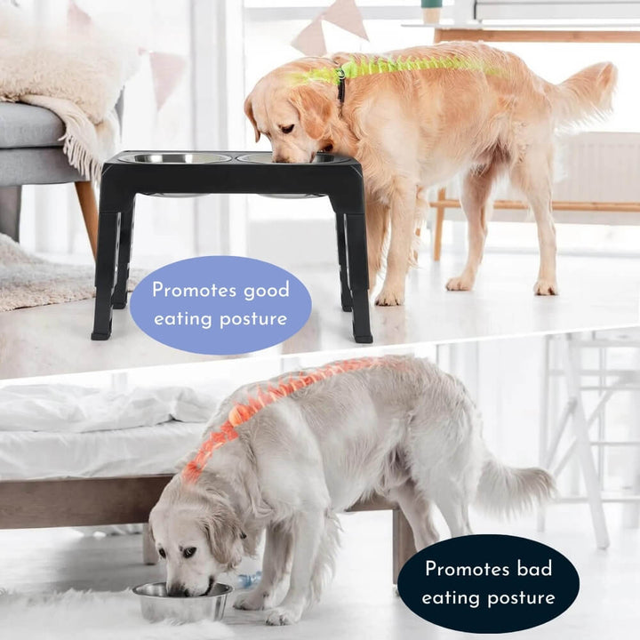 PupLift Raised Dog Bowl – Ergonomic & Slow Feeding for Healthy Meals | Stornfield