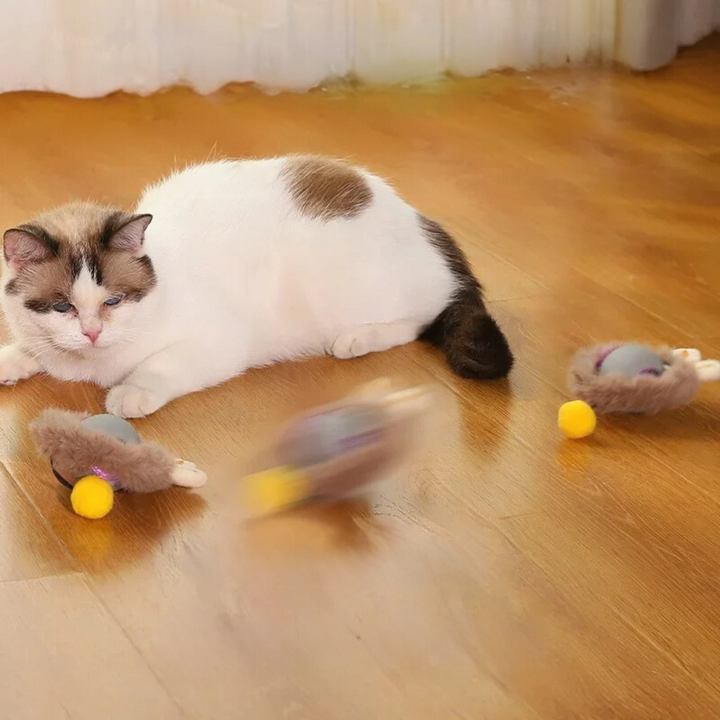 Interactive fur toy ball for cats | Stornfield