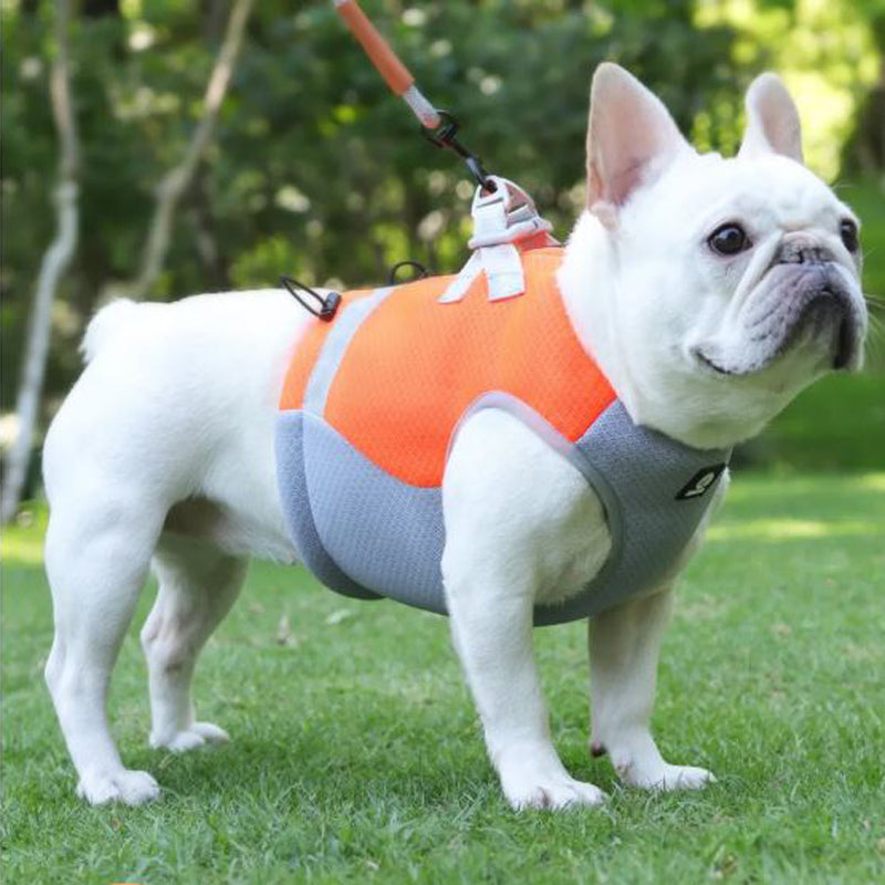 Frenchie Summer Reflective Cooling Vest | Stornfield