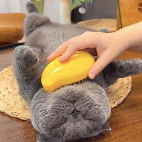 Cat brush with steam function | Stornfield
