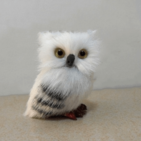 Cute Owl Home Decor | Stornfield