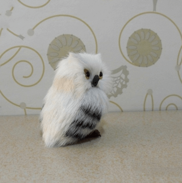 Cute Owl Home Decor | Stornfield